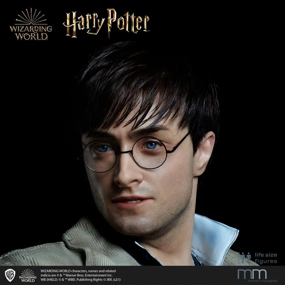 Silicone head for the Harry Potter Life-Size Statue MMHP-HPDH-1 product photo