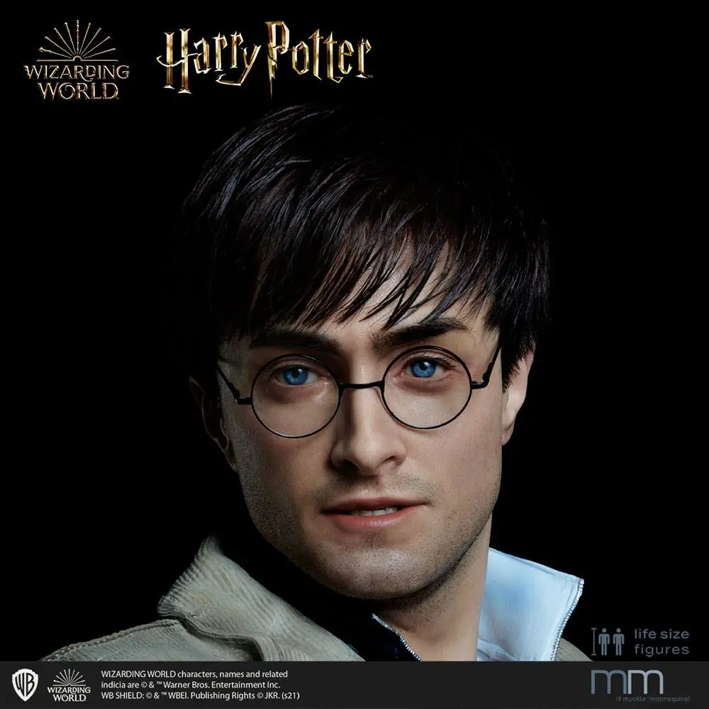 Silicone head for the Harry Potter Life-Size Statue MMHP-HPDH-1 product photo