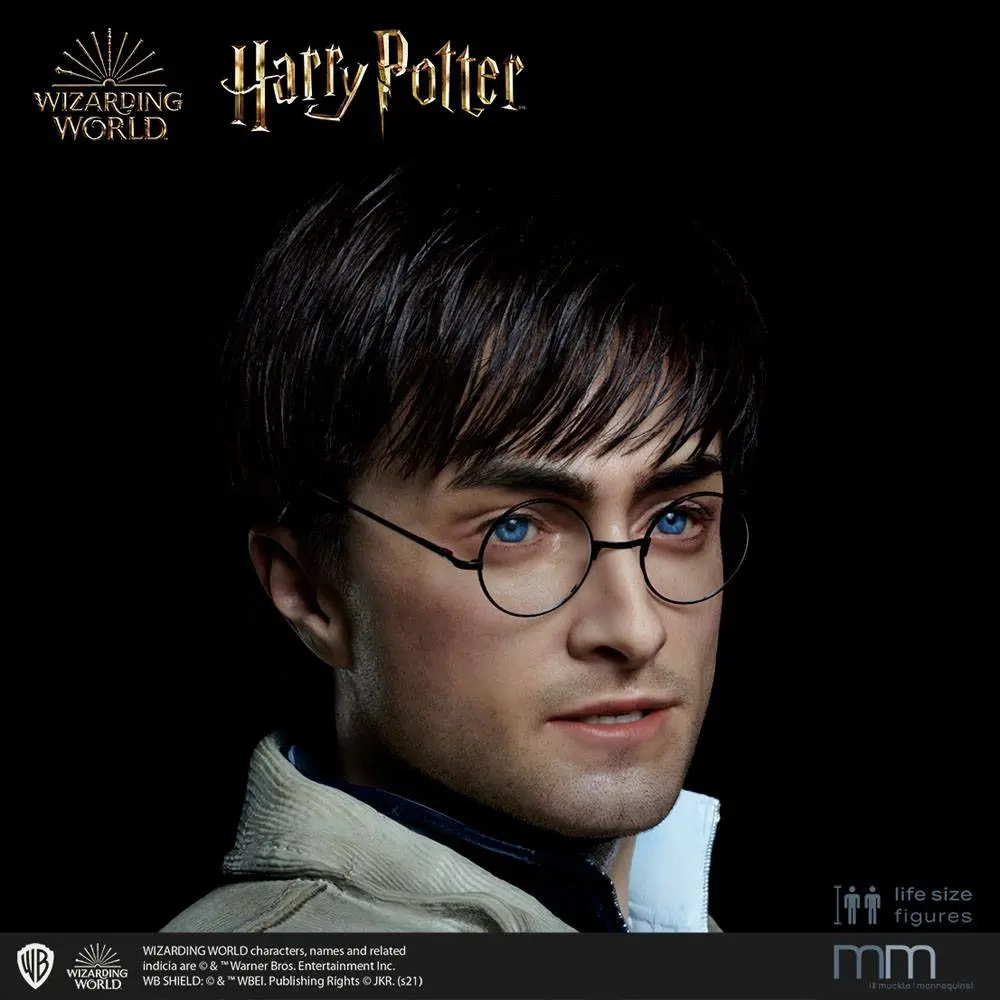 Silicone head for the Harry Potter Life-Size Statue MMHP-HPDH-1 product photo