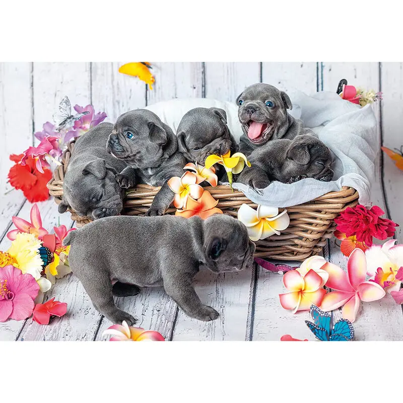 Small Hairballs puzzle 2x12pcs product photo