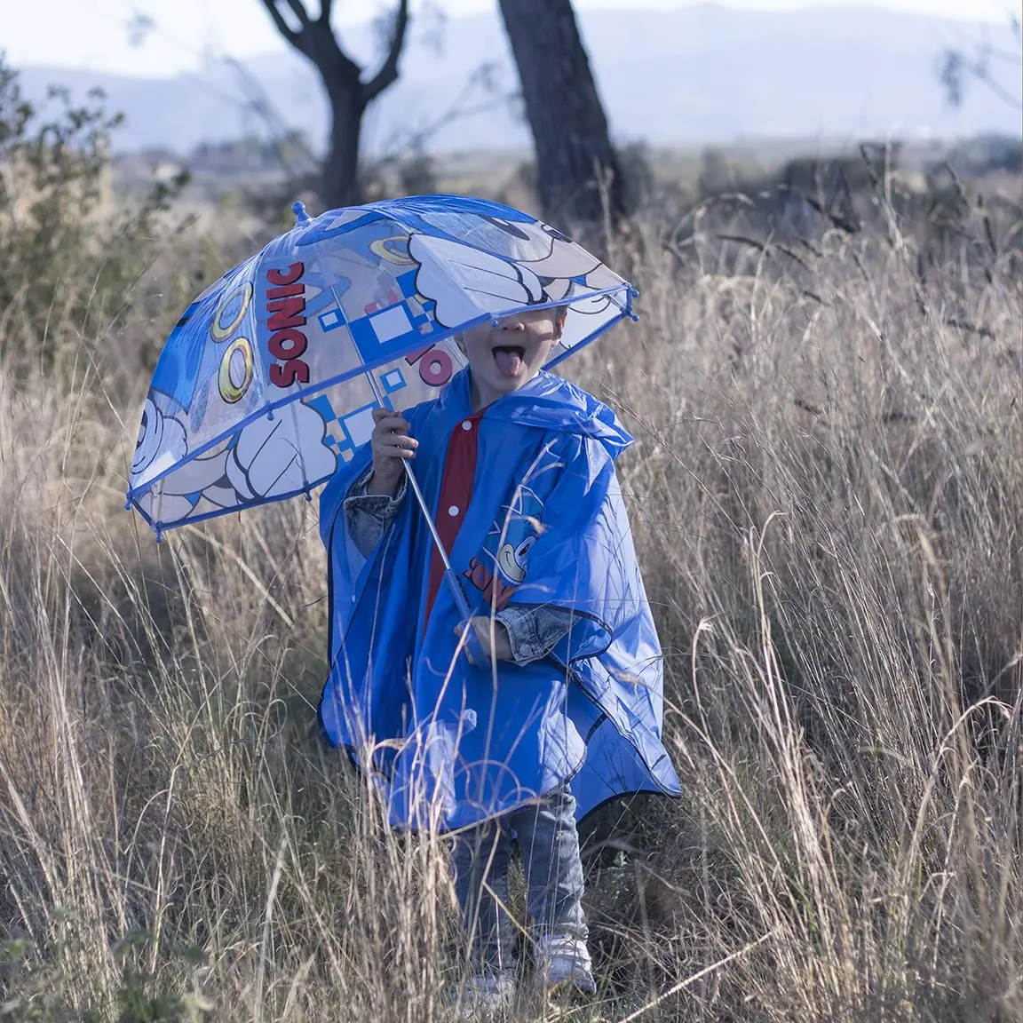 Sonic umbrella termékfotó