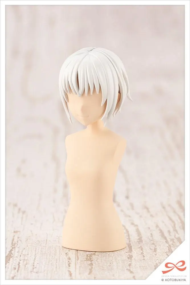 Sousai Shojo Teien Model Kit Accesoory Set 1/10 After School Short Wigs Type A White &amp; Choco Brown product photo