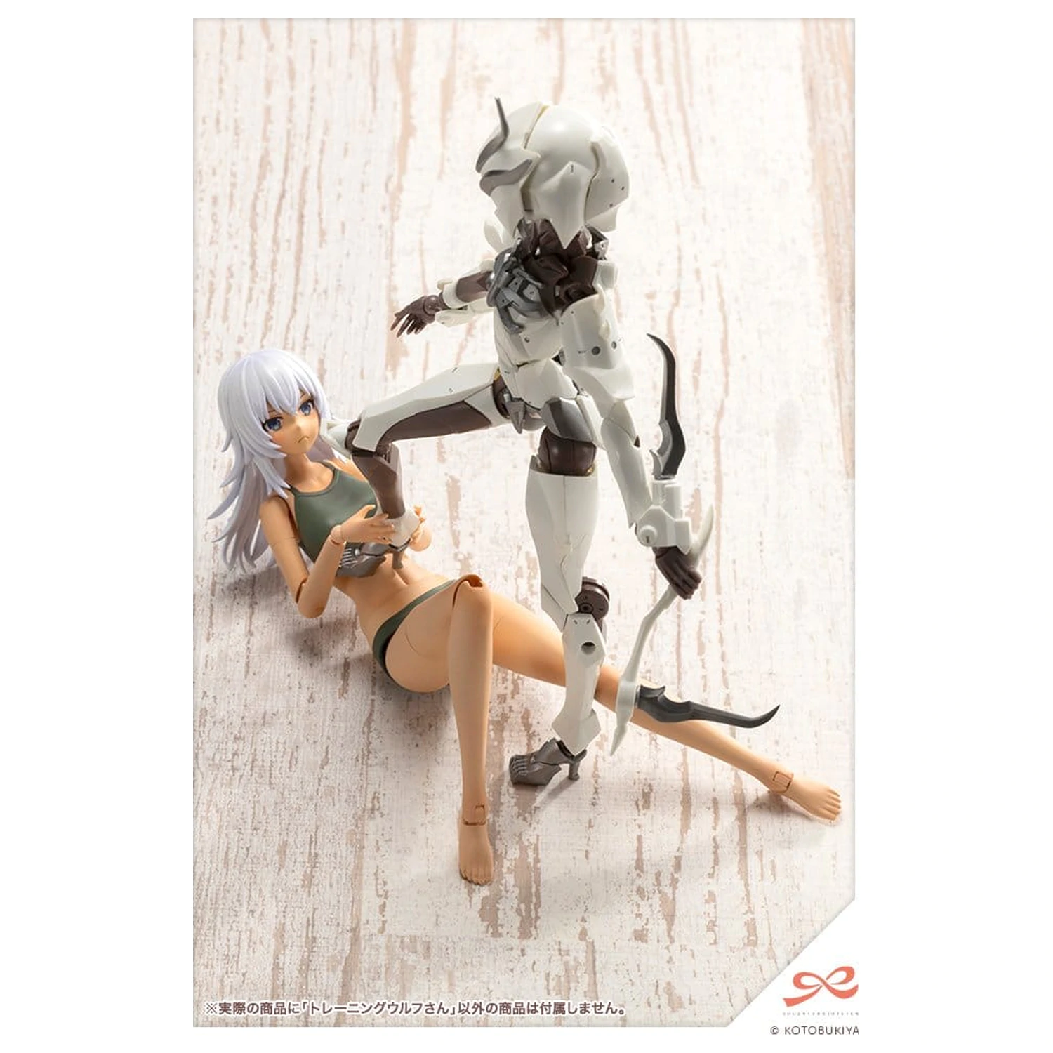 Sousai Shojo Teien Plastic Model Kit 1/10 Training Wolf 16 cm product photo