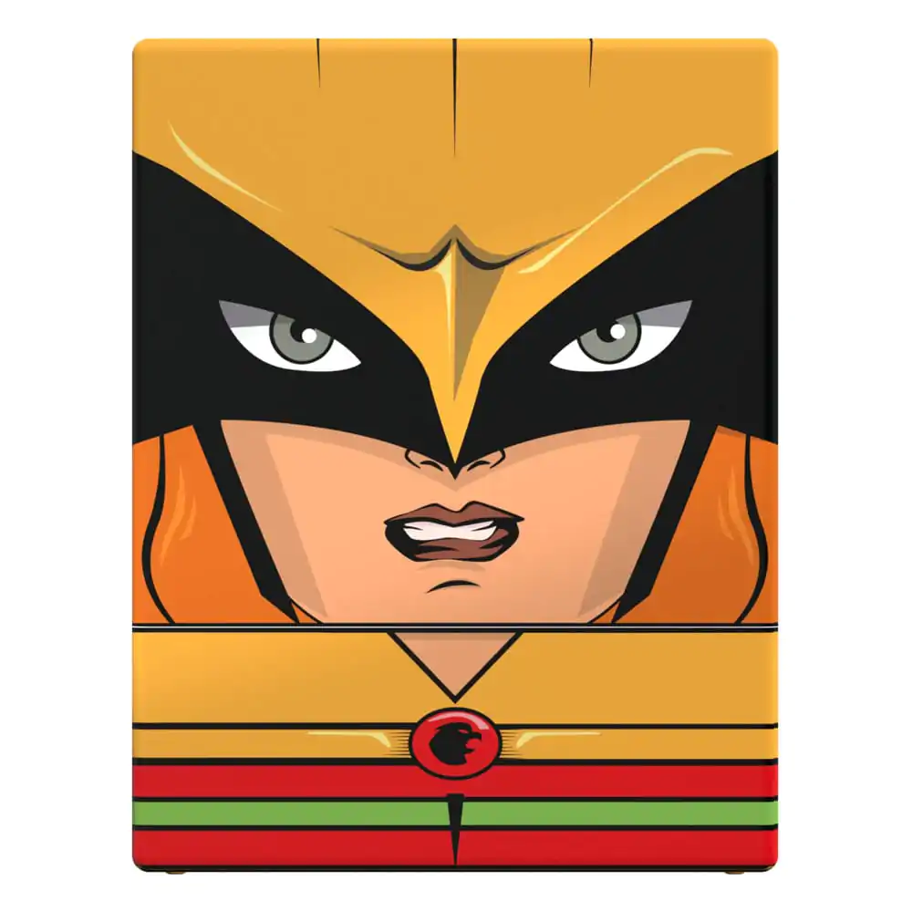 Squaroes - Squaroe DC Justice League™ JL012 - Hawkgirl™ termékfotó