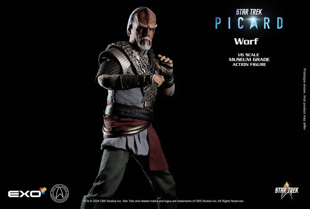 Star Trek: Picard Action Figure 1/6 Worf 30 cm product photo