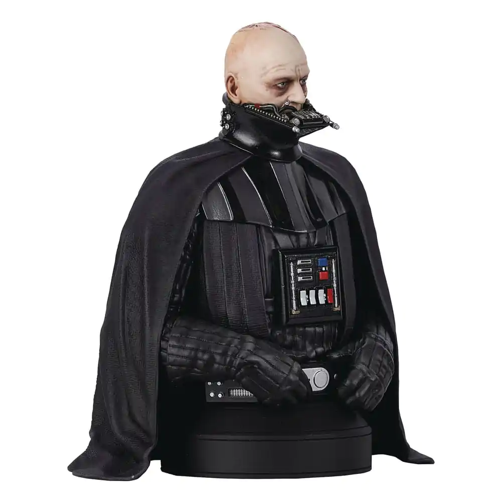 Star Wars Episode VI Bust 1/6 Darth Vader (unhelmeted) 15 cm product photo