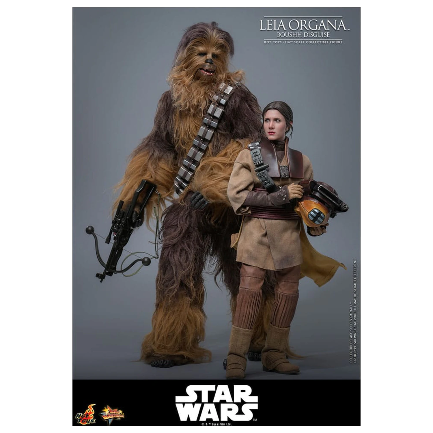 Star Wars Episode VI Movie Masterpiece Action Figure 1/6 Leia Organa (Boushh Disguise) 27 cm product photo