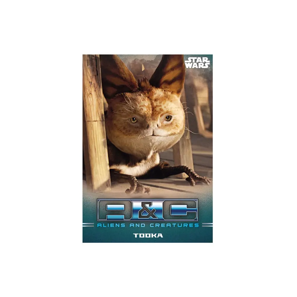 Star Wars: The Mandalorian Trading Cards Starter Pack *English Version* termékfotó