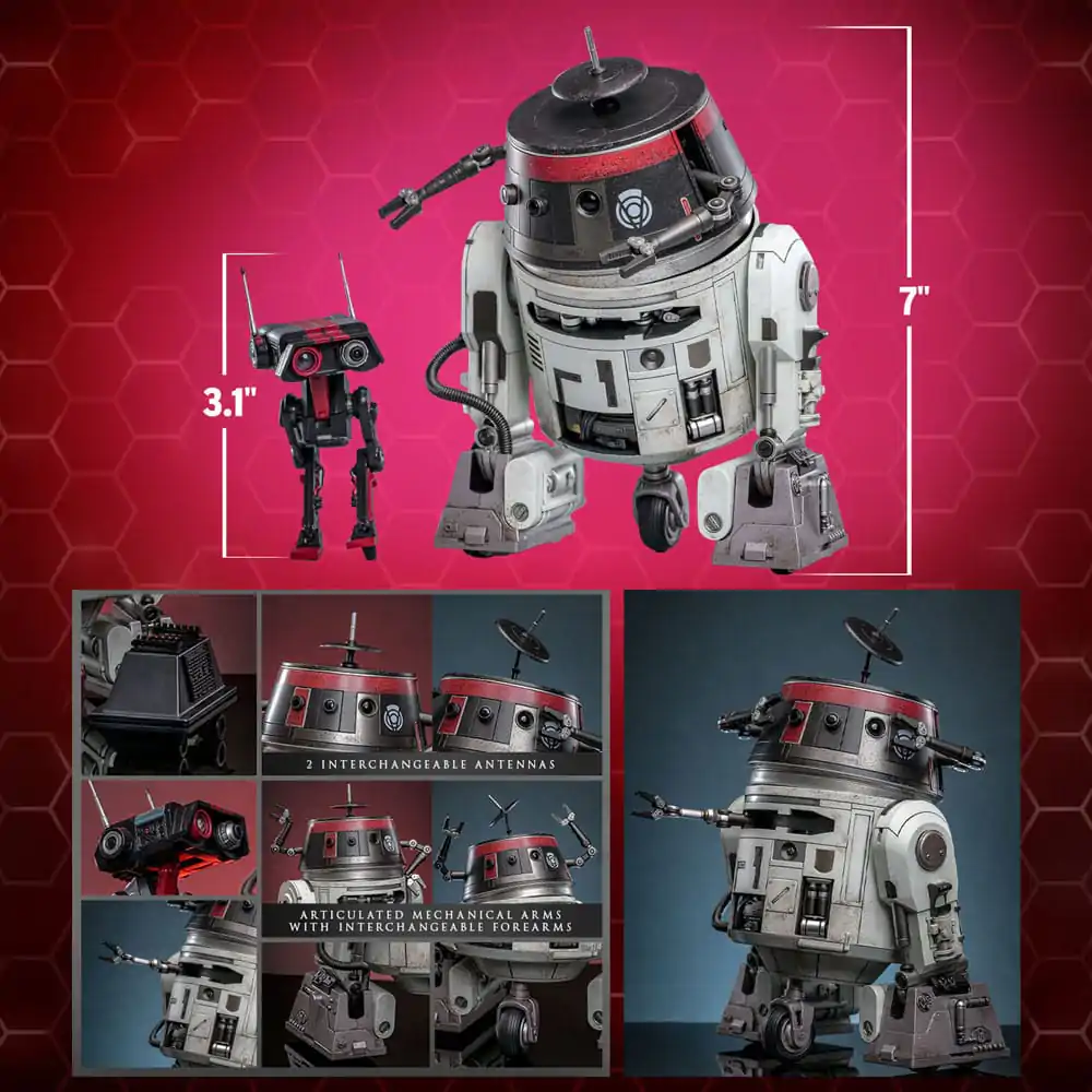 Star Wars Action Figure Set 1/6 Chopper (C1-10P™) &amp; BD-1™ (Imperial Disguise) 18 cm &amp; 8 cm product photo