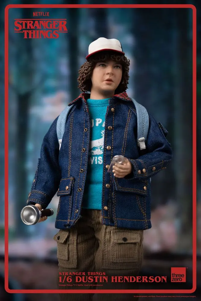 Stranger Things Action Figure 1/6 Dustin Henderson 23 cm product photo