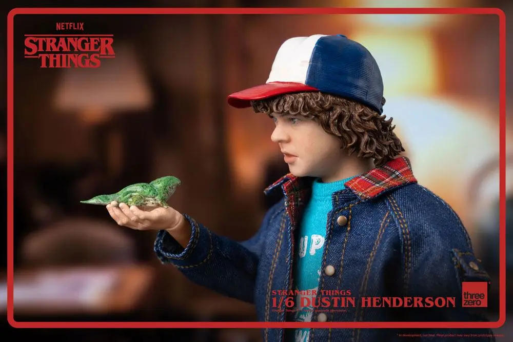 Stranger Things Action Figure 1/6 Dustin Henderson 23 cm product photo