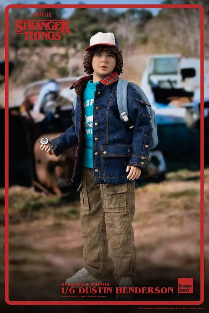 Stranger Things Action Figure 1/6 Dustin Henderson 23 cm product photo