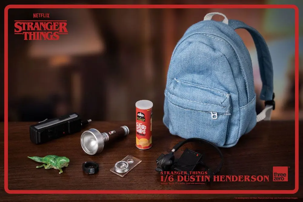 Stranger Things Action Figure 1/6 Dustin Henderson 23 cm product photo