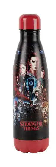 Stranger Things Thermo Water Bottle Friends termékfotó