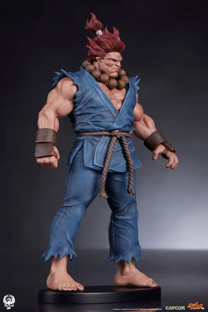 Street Fighter PVC Statues 1/10 Akuma & Dhalsim 21 cm termékfotó