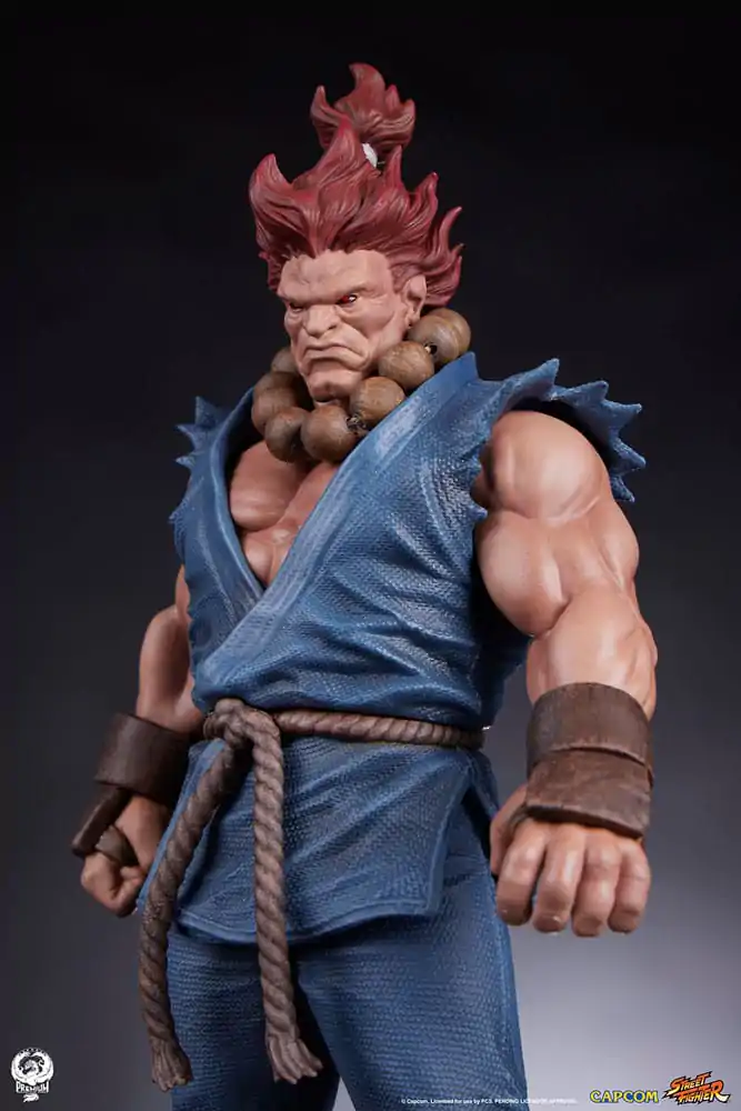 Street Fighter PVC Statues 1/10 Akuma & Dhalsim 21 cm termékfotó