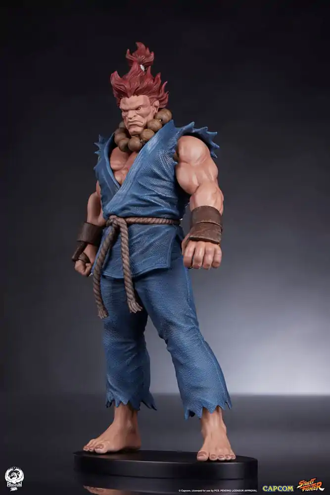 Street Fighter PVC Statues 1/10 Akuma & Dhalsim 21 cm termékfotó