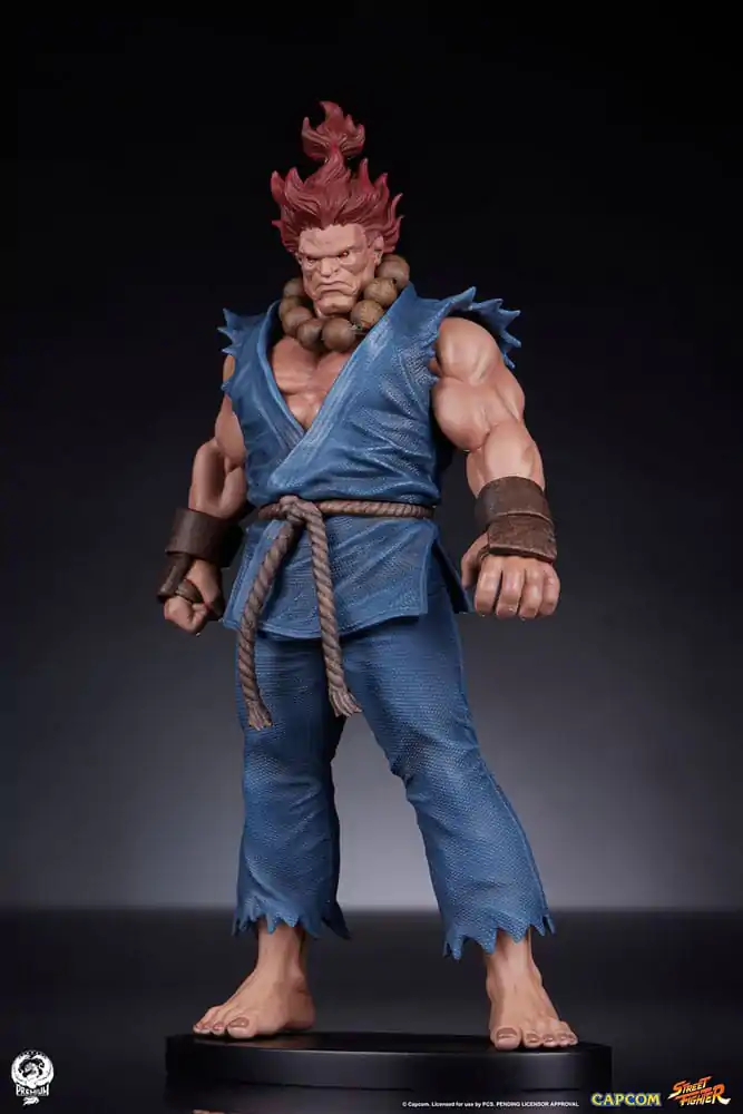 Street Fighter PVC Statues 1/10 Akuma & Dhalsim 21 cm termékfotó