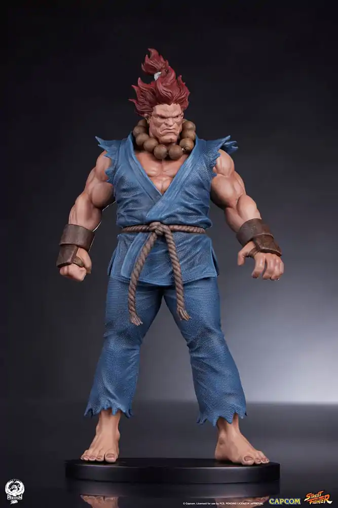 Street Fighter PVC Statues 1/10 Akuma & Dhalsim 21 cm termékfotó