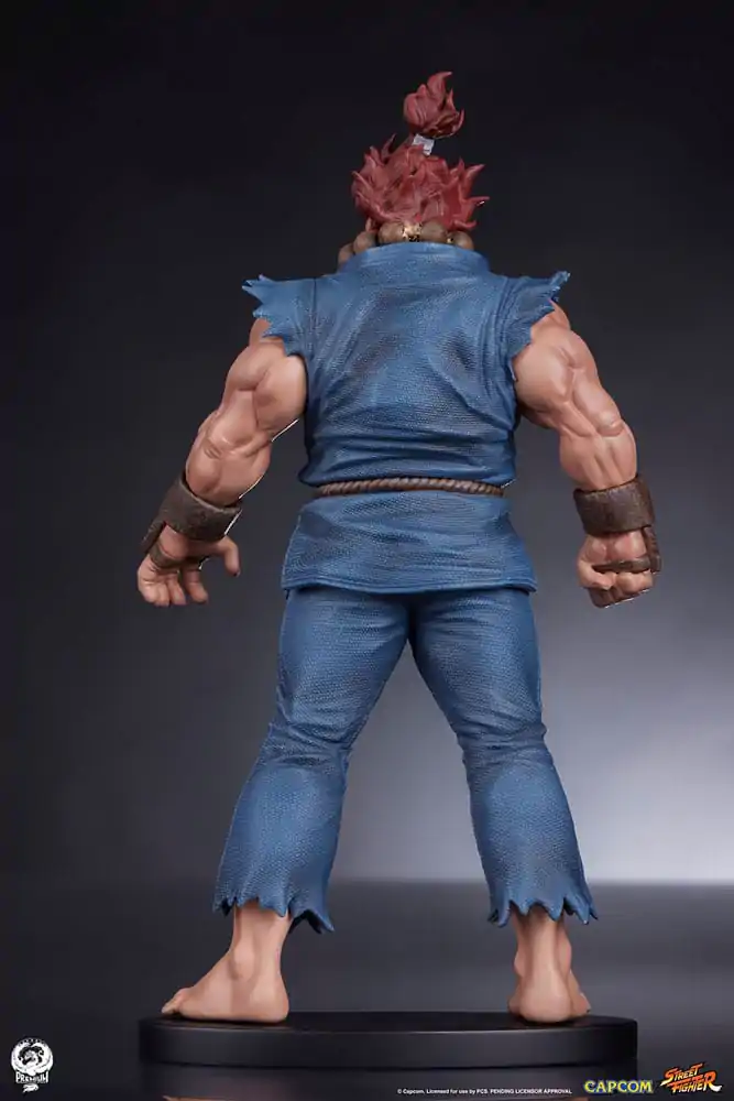 Street Fighter PVC Statues 1/10 Akuma & Dhalsim 21 cm termékfotó