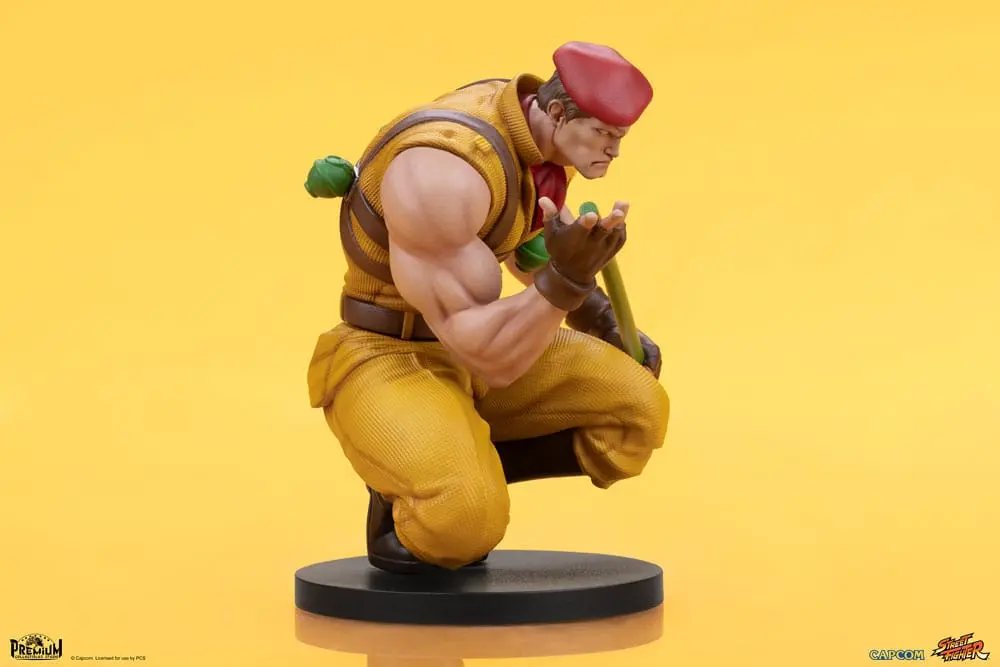 Street Fighter PVC Statues 1/10 M. Bison & Rolento 21 cm termékfotó