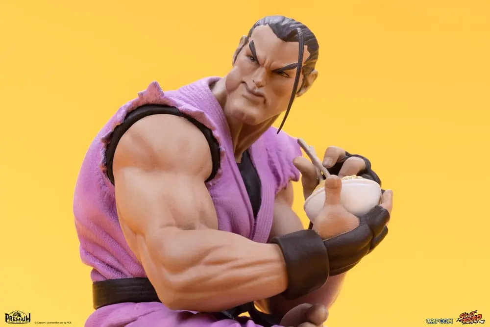 Street Fighter PVC Statues 1/10 Ryu &amp; Dan 18 cm product photo