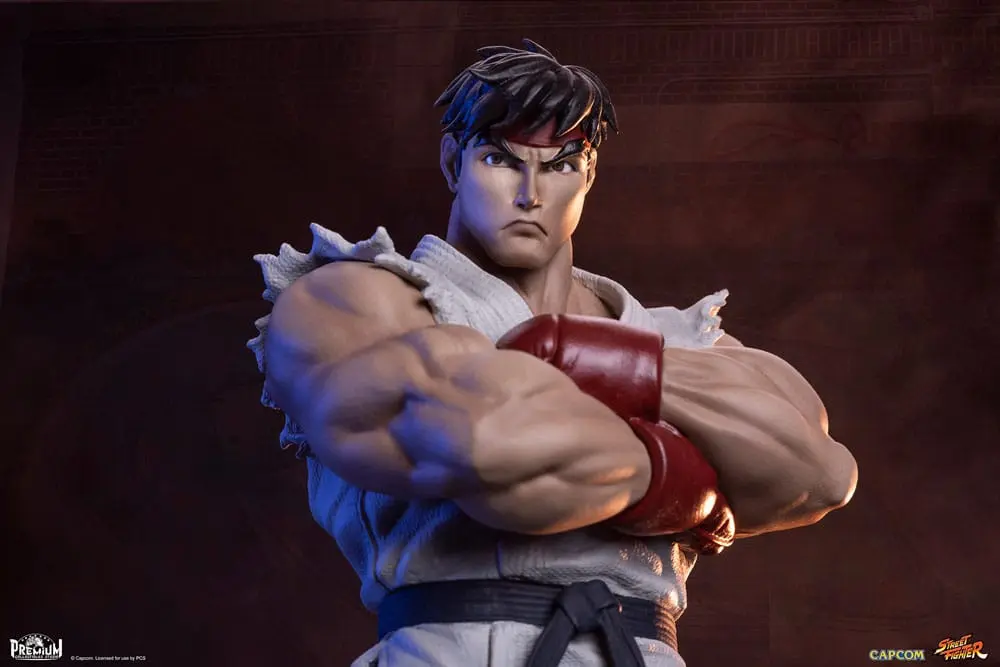 Street Fighter PVC Statues 1/10 Ryu &amp; Dan 18 cm product photo