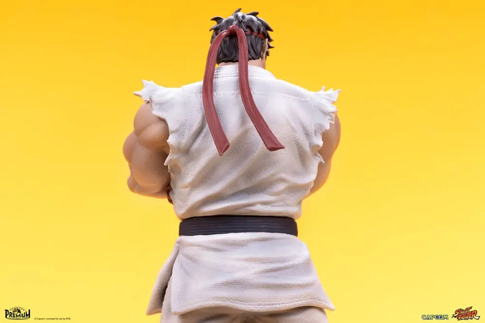 Street Fighter PVC Statues 1/10 Ryu &amp; Dan 18 cm product photo