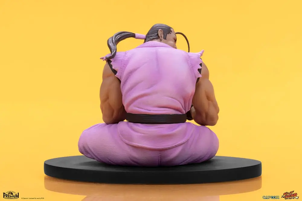 Street Fighter PVC Statues 1/10 Ryu &amp; Dan 18 cm product photo