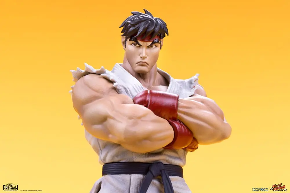 Street Fighter PVC Statues 1/10 Ryu &amp; Dan 18 cm product photo