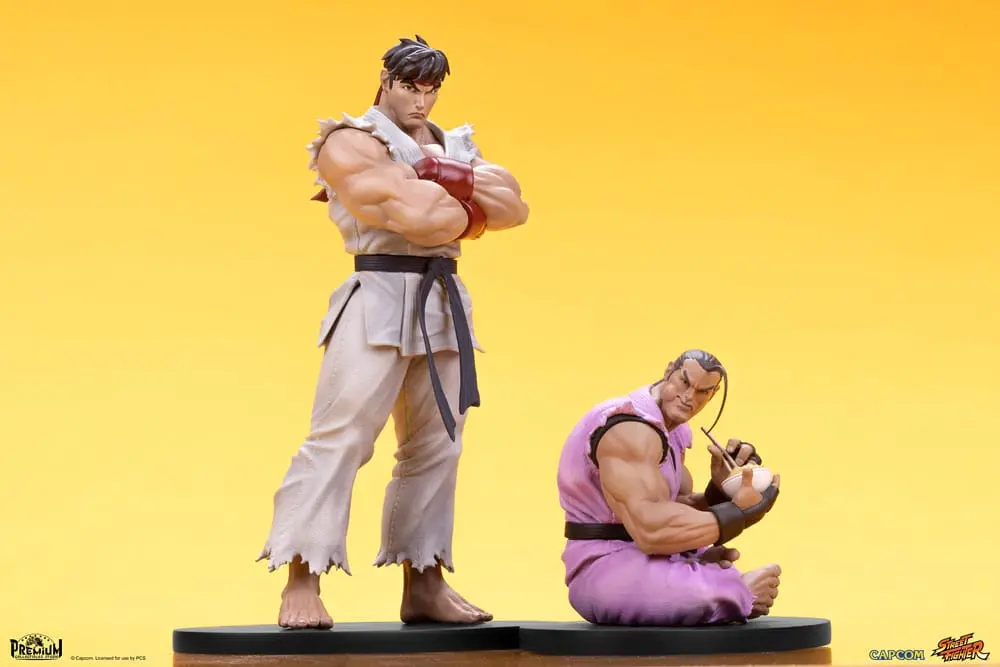 Street Fighter PVC Statues 1/10 Ryu &amp; Dan 18 cm product photo