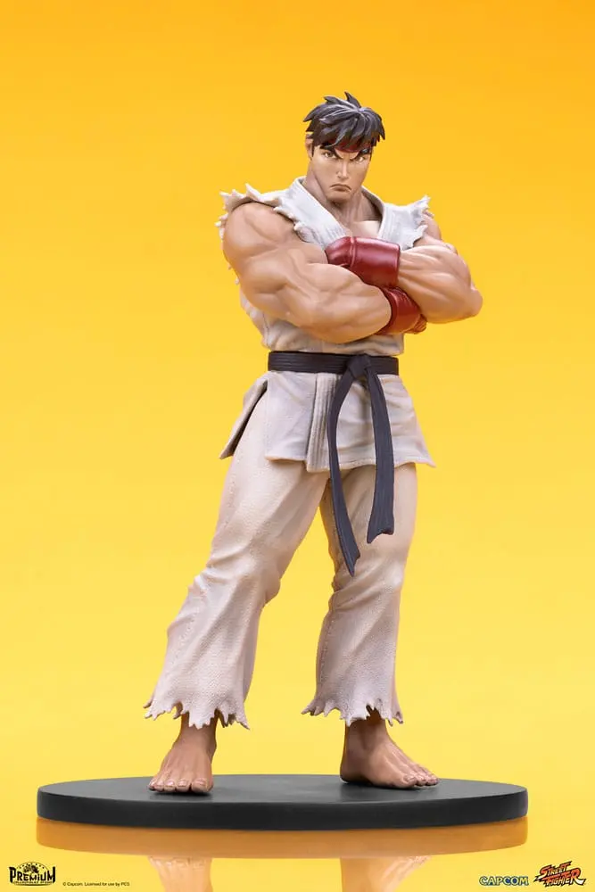 Street Fighter PVC Statues 1/10 Ryu &amp; Dan 18 cm product photo