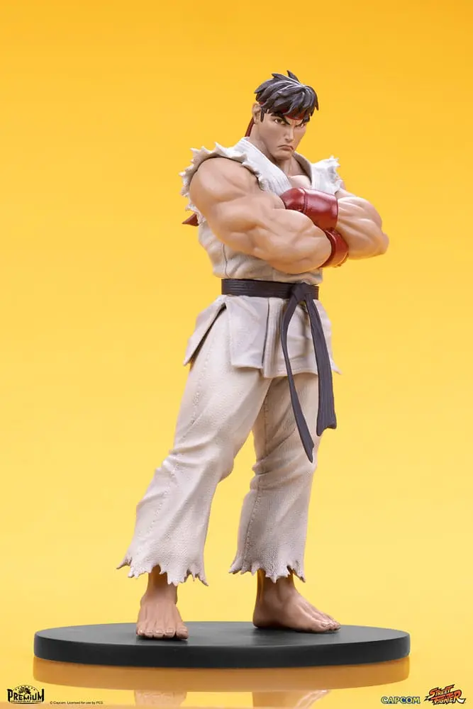 Street Fighter PVC Statues 1/10 Ryu &amp; Dan 18 cm product photo