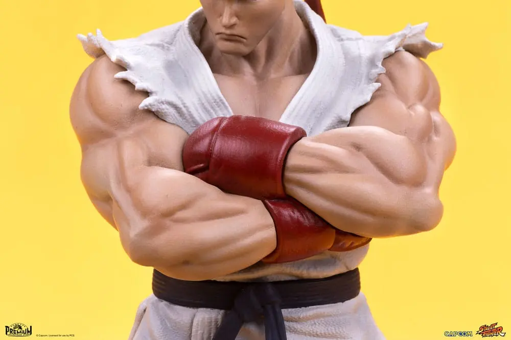 Street Fighter PVC Statues 1/10 Ryu &amp; Dan 18 cm product photo