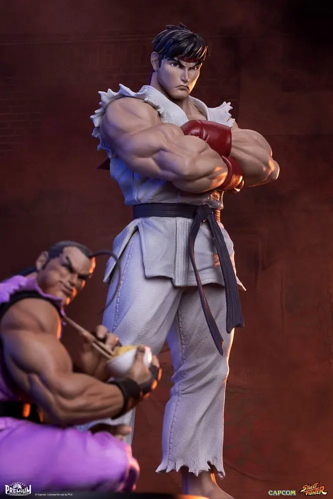 Street Fighter PVC Statues 1/10 Ryu &amp; Dan 18 cm product photo
