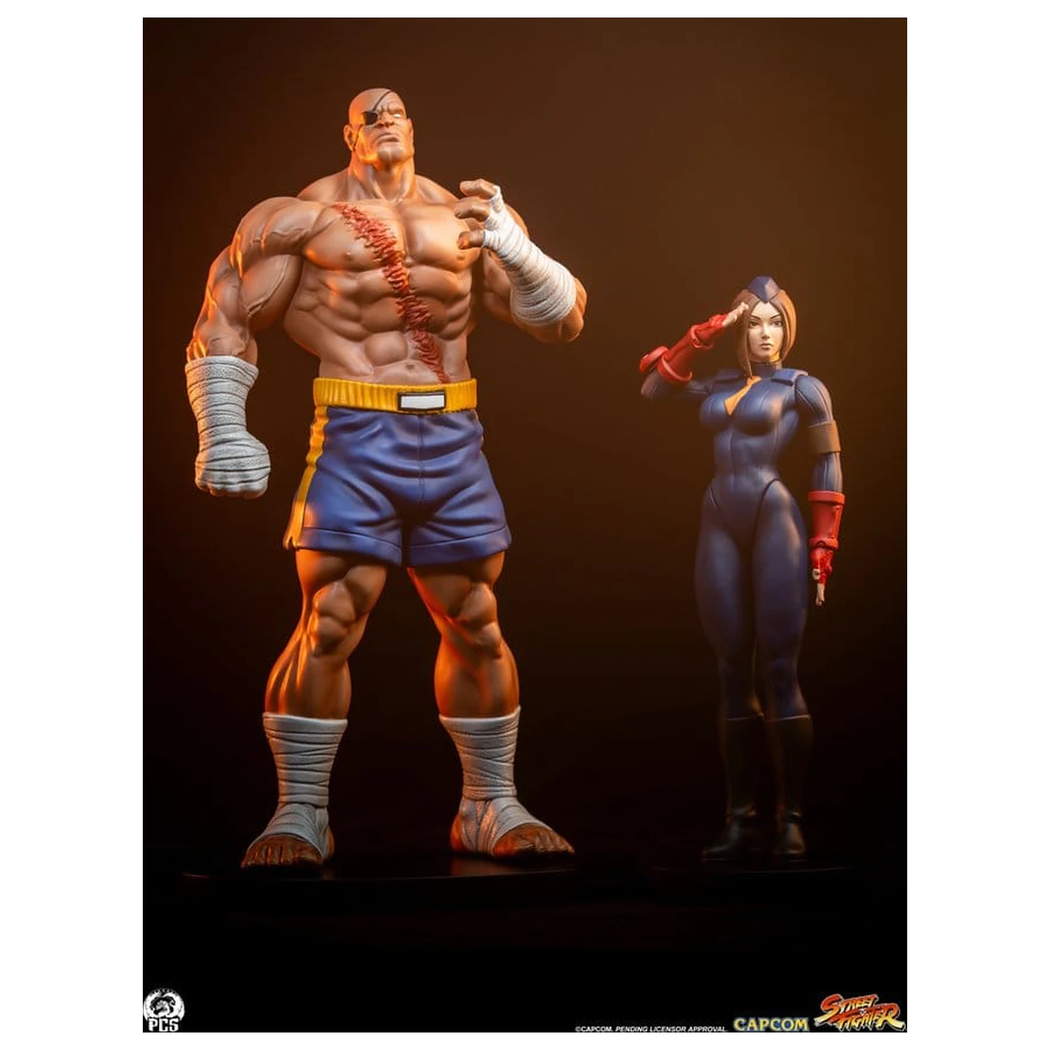 Street Fighter Street Jam Statuen 1/10 Sagat & Juli 24 cm  product photo