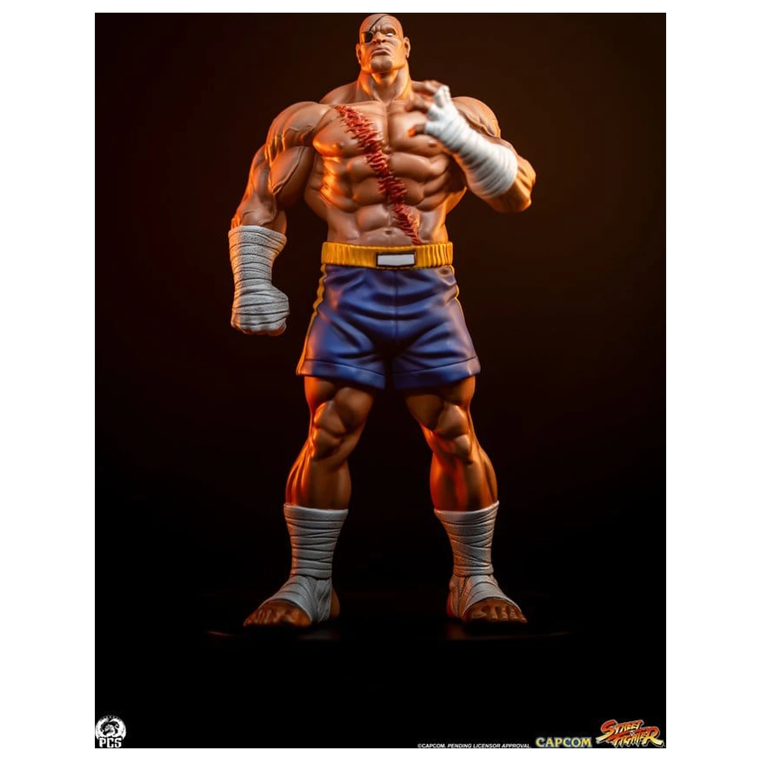 Street Fighter Street Jam Statuen 1/10 Sagat & Juli 24 cm  product photo