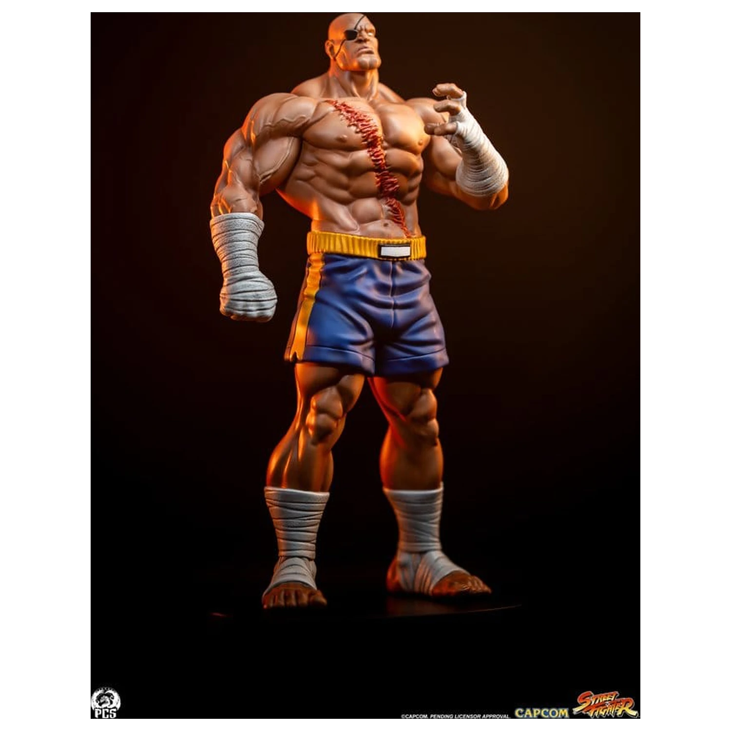 Street Fighter Street Jam Statuen 1/10 Sagat & Juli 24 cm  product photo