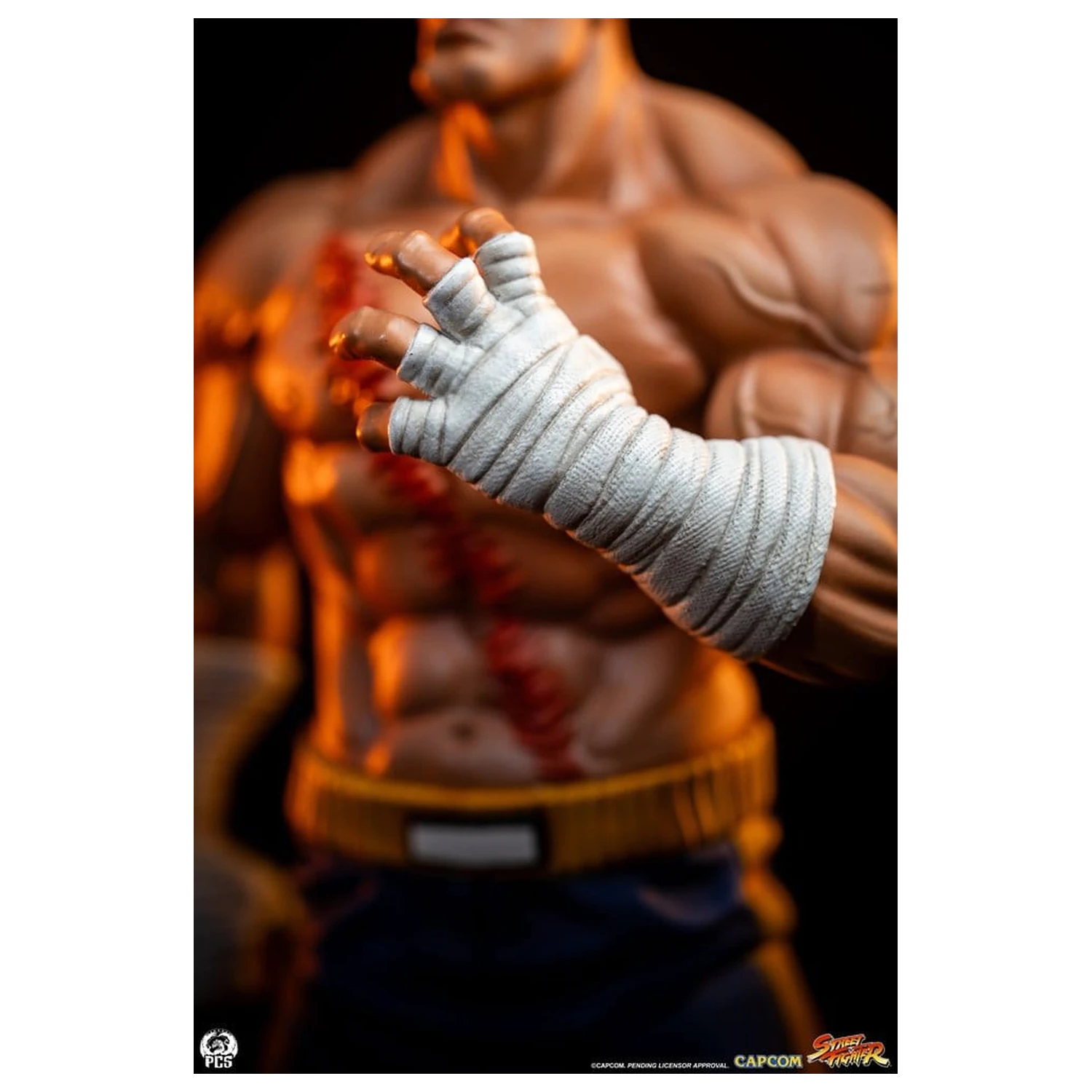 Street Fighter Street Jam Statuen 1/10 Sagat & Juli 24 cm  product photo