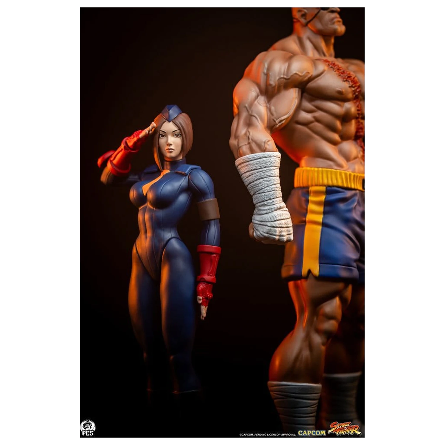 Street Fighter Street Jam Statuen 1/10 Sagat & Juli 24 cm  product photo