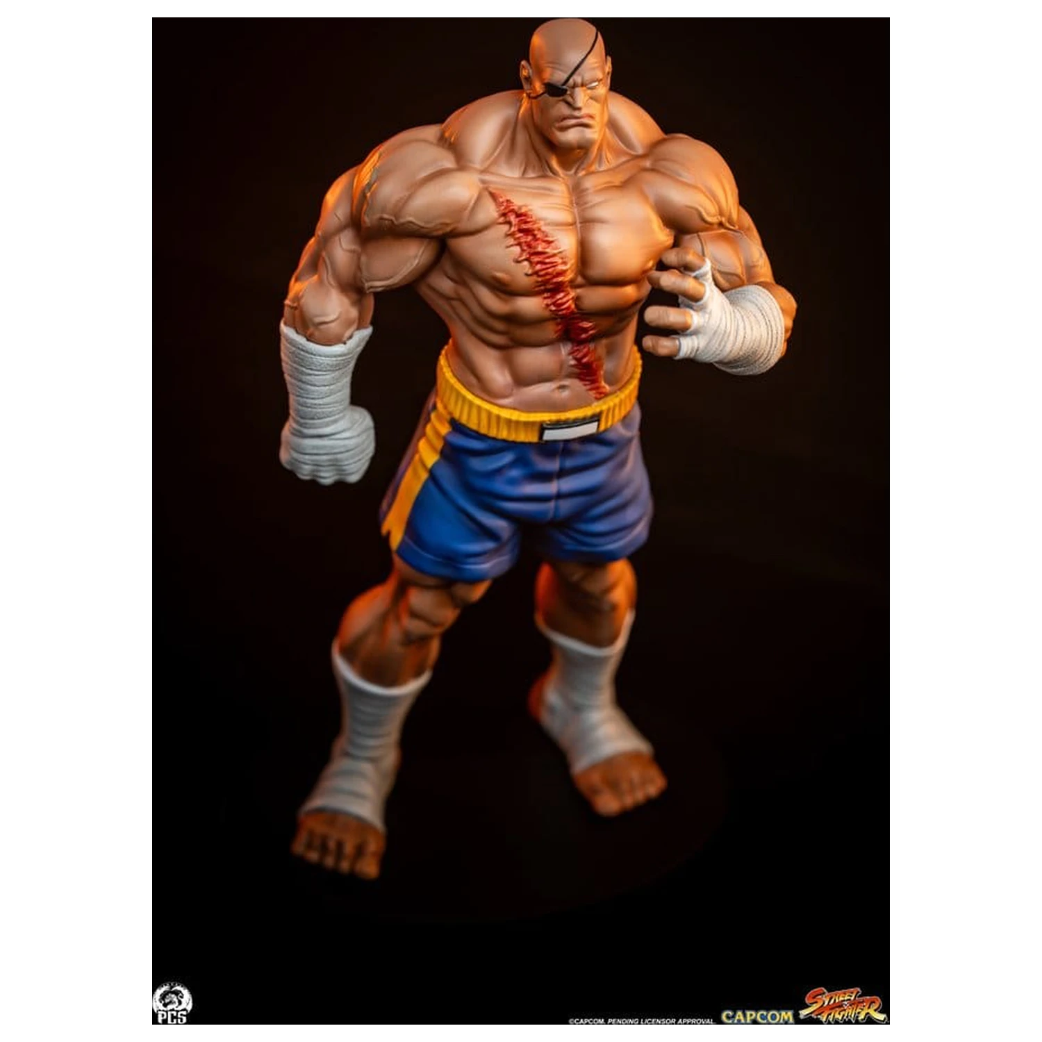 Street Fighter Street Jam Statuen 1/10 Sagat & Juli 24 cm  product photo