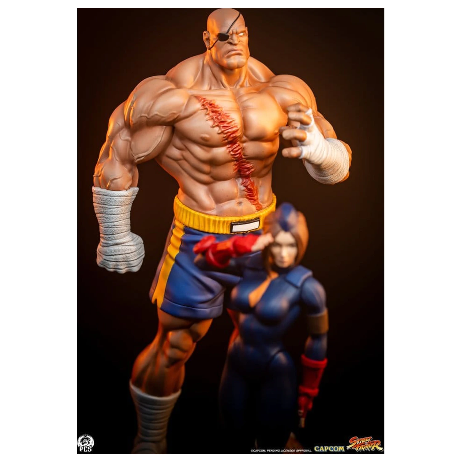 Street Fighter Street Jam Statuen 1/10 Sagat & Juli 24 cm  product photo