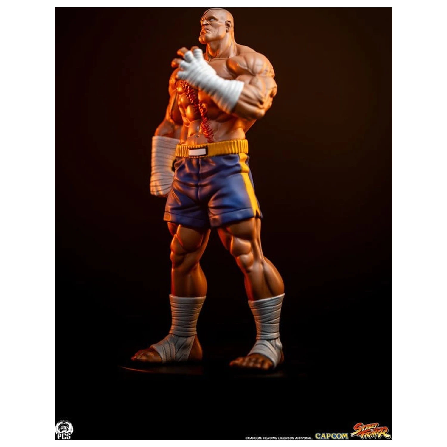 Street Fighter Street Jam Statuen 1/10 Sagat & Juli 24 cm  product photo