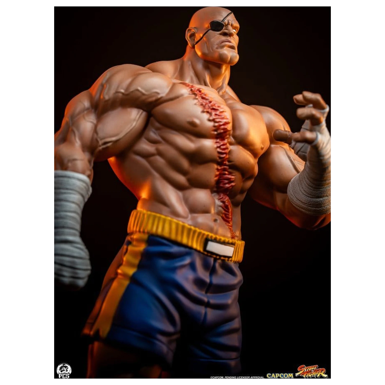 Street Fighter Street Jam Statuen 1/10 Sagat & Juli 24 cm  product photo