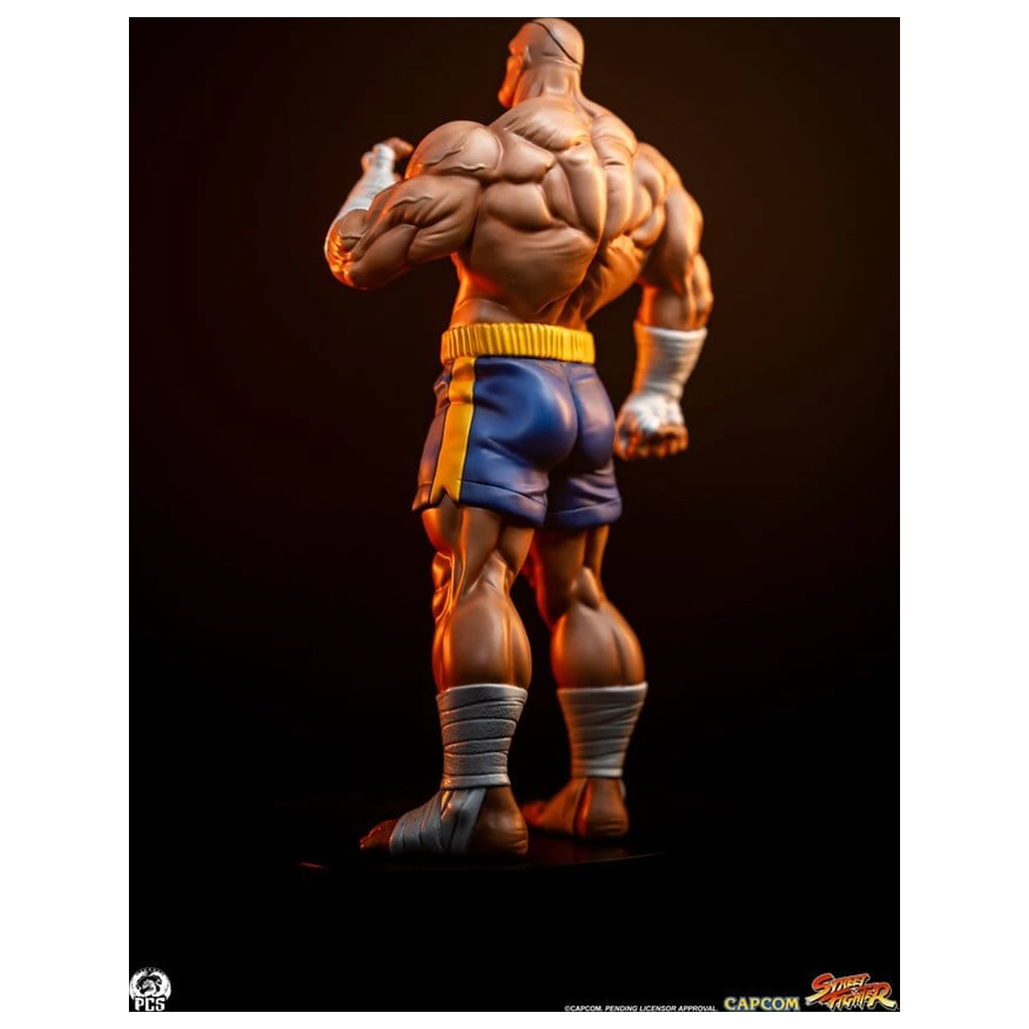Street Fighter Street Jam Statuen 1/10 Sagat & Juli 24 cm  product photo