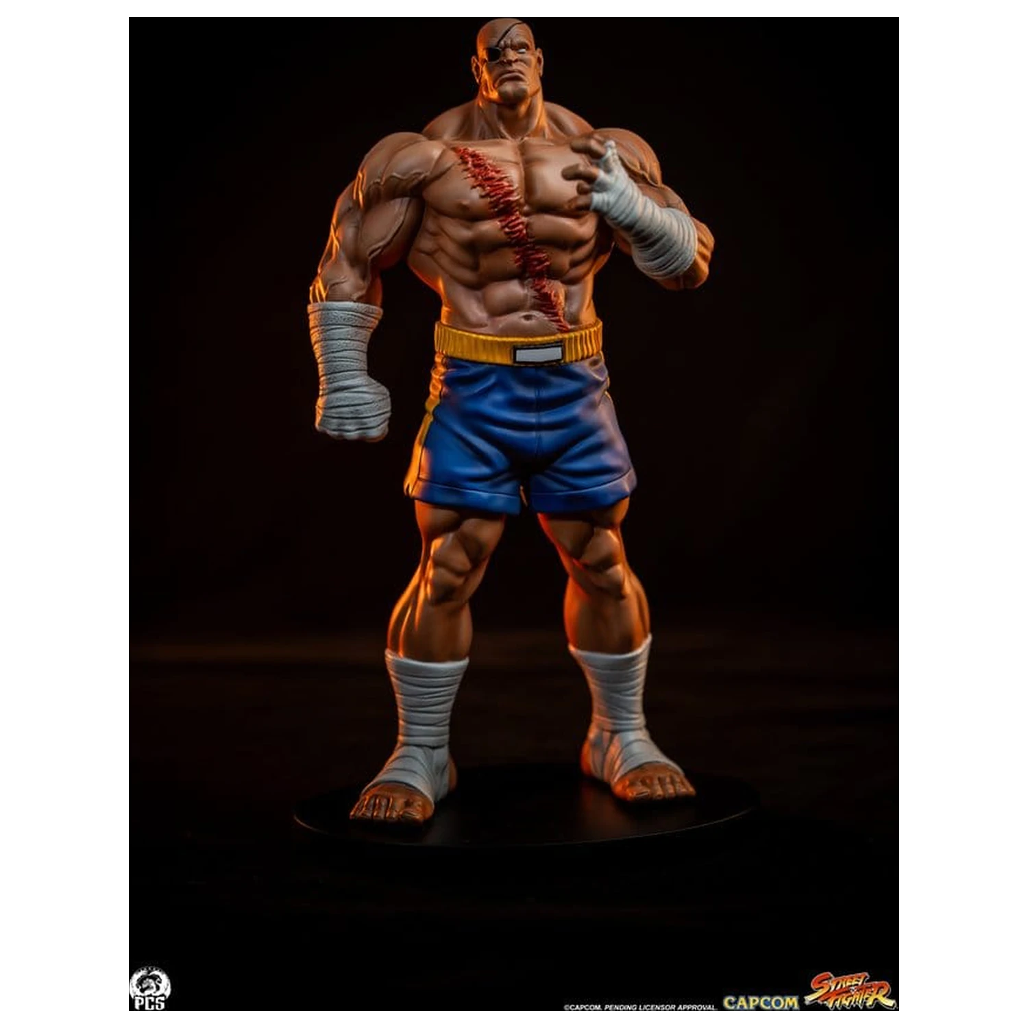 Street Fighter Street Jam Statuen 1/10 Sagat & Juli 24 cm  product photo