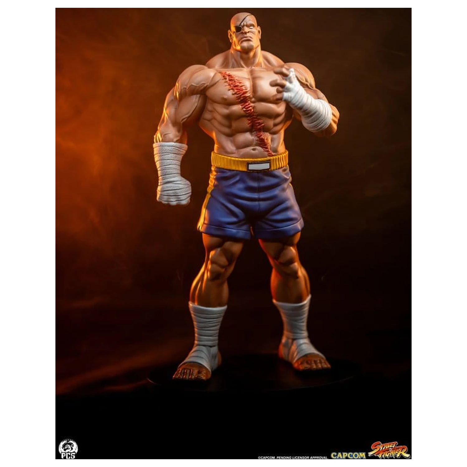 Street Fighter Street Jam Statuen 1/10 Sagat & Juli 24 cm  product photo