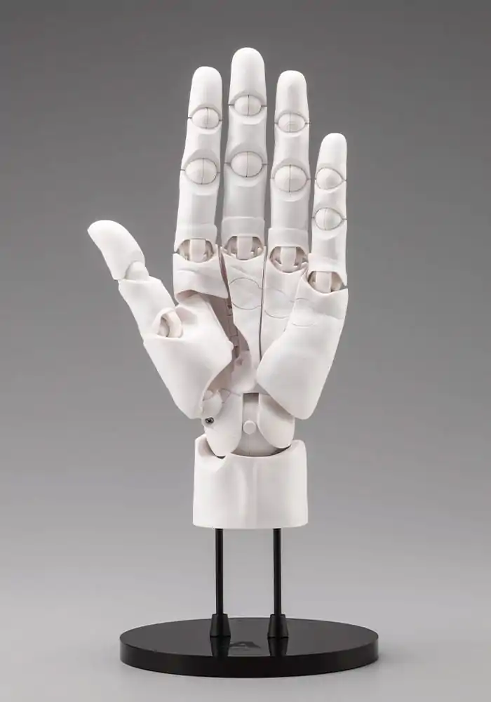 Takahiro Kagami PVC Artist Support Item Hand 1/1 Model Men /L White 22 cm   product photo