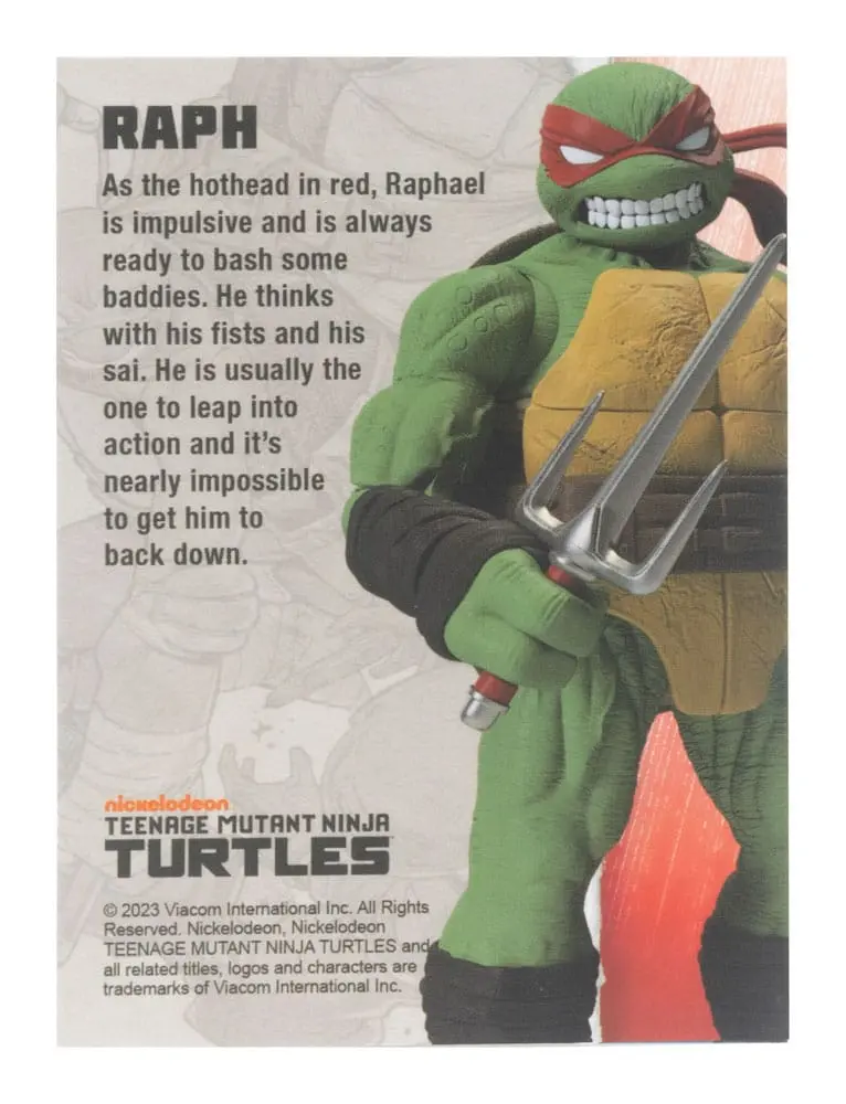 Teenage Mutant Ninja Turtles BST AXN Action Figure Raphael (IDW Comics) 13 cm termékfotó
