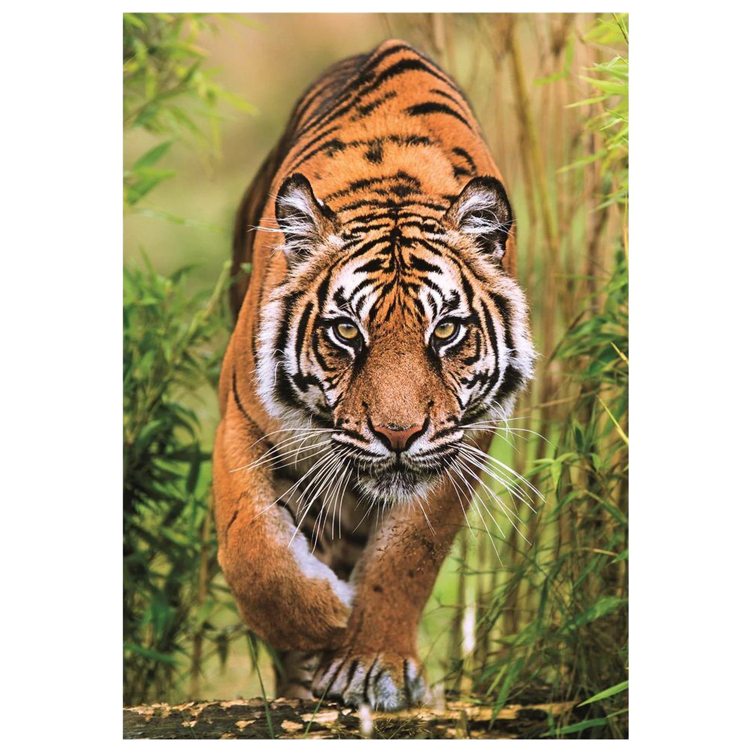 The Hunter's Path puzzle 1000pcs product photo